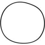 Hayward HAYWARD ULTRA PRO HOUSING O-RING