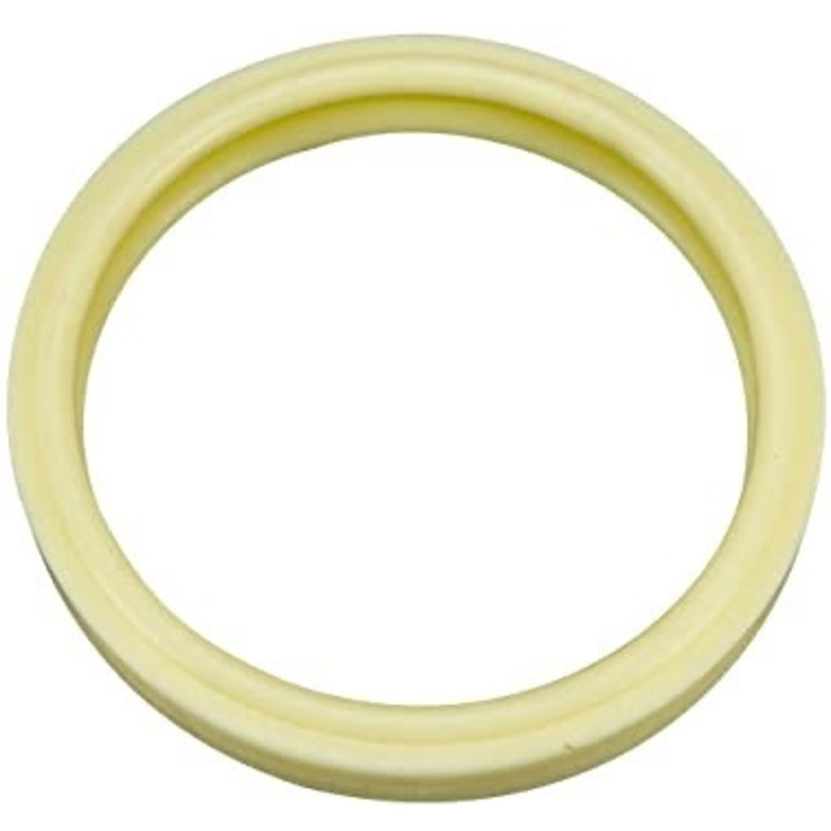Pentair PENTAIR LIGHT GASKET 4" SILICO