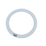 Hayward HAYWARD BASKET SUPPORT RING