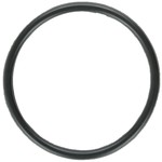 Zodiac DUO CLEAR NATURE 2  O-ORING