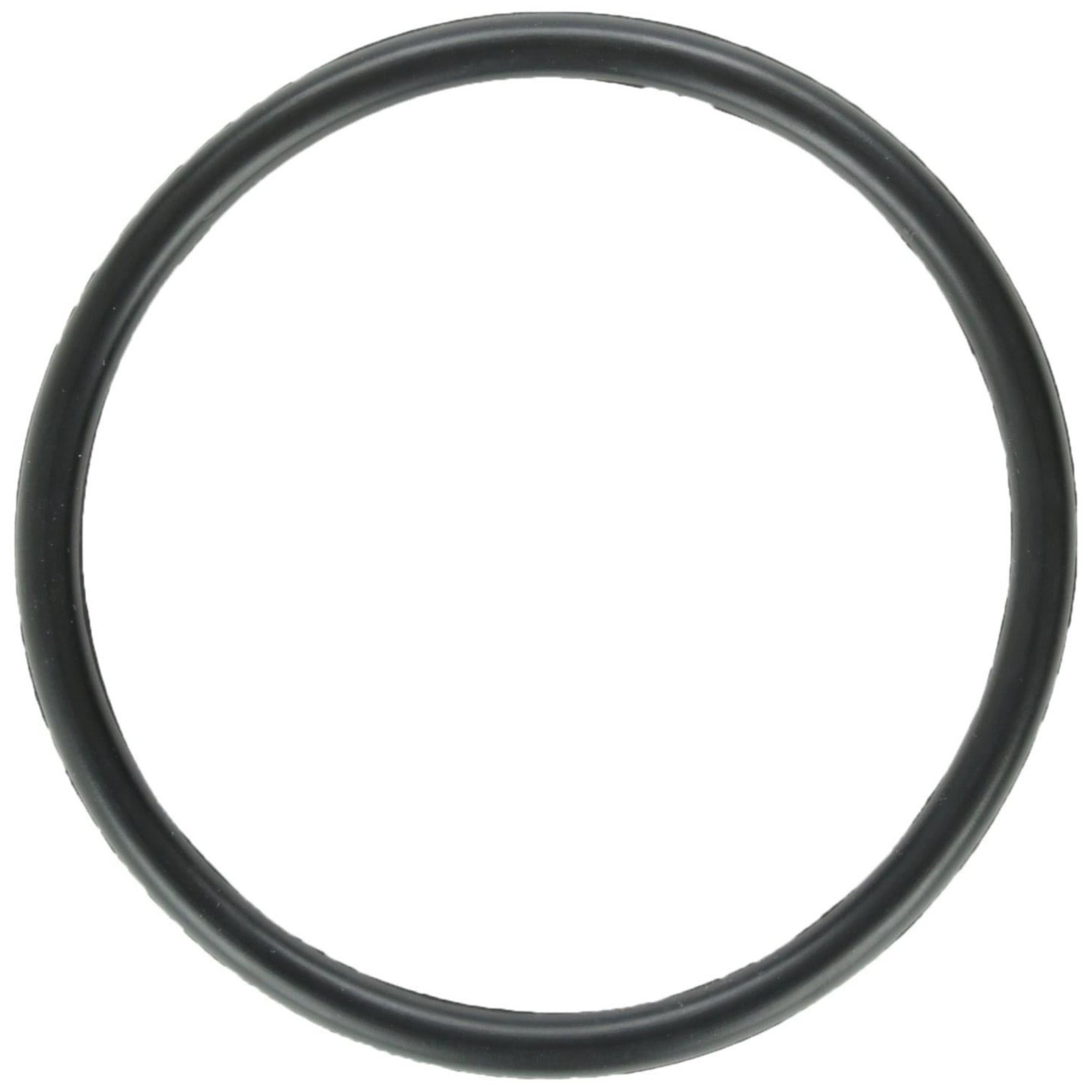 Zodiac DUO CLEAR NATURE 2  O-ORING