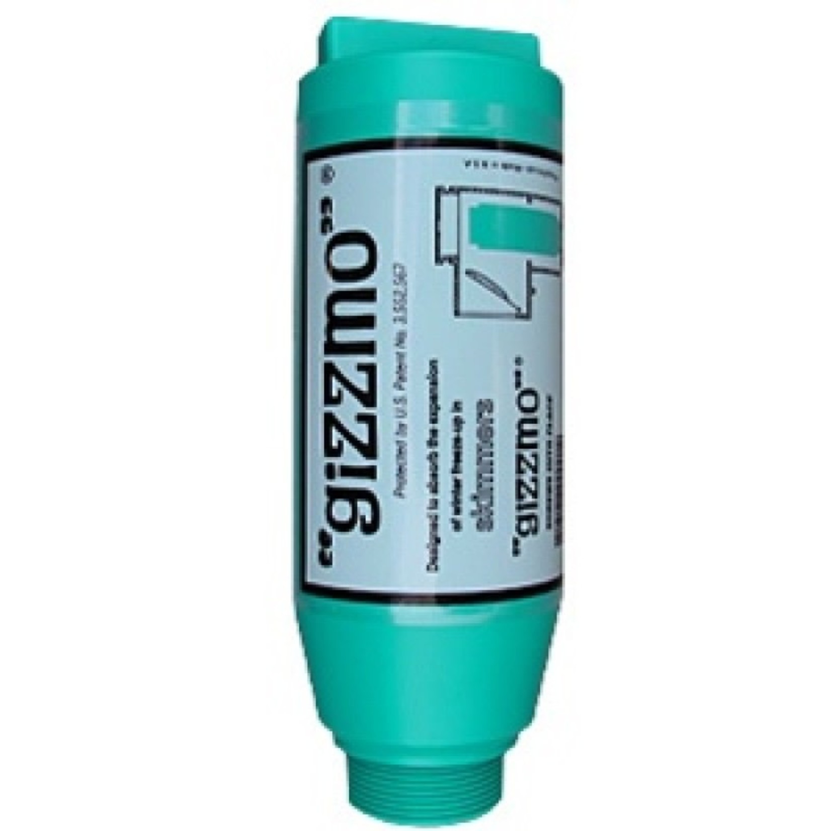 GIZZMO REGULAR
