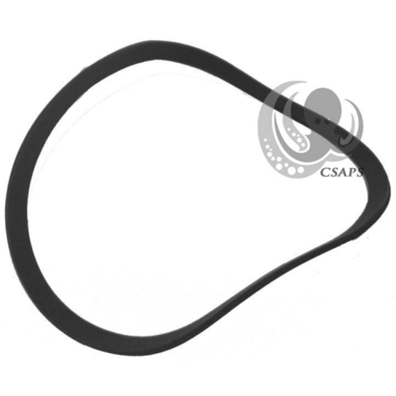 Jacuzzi JACUZZI VAC PLATE GASKET