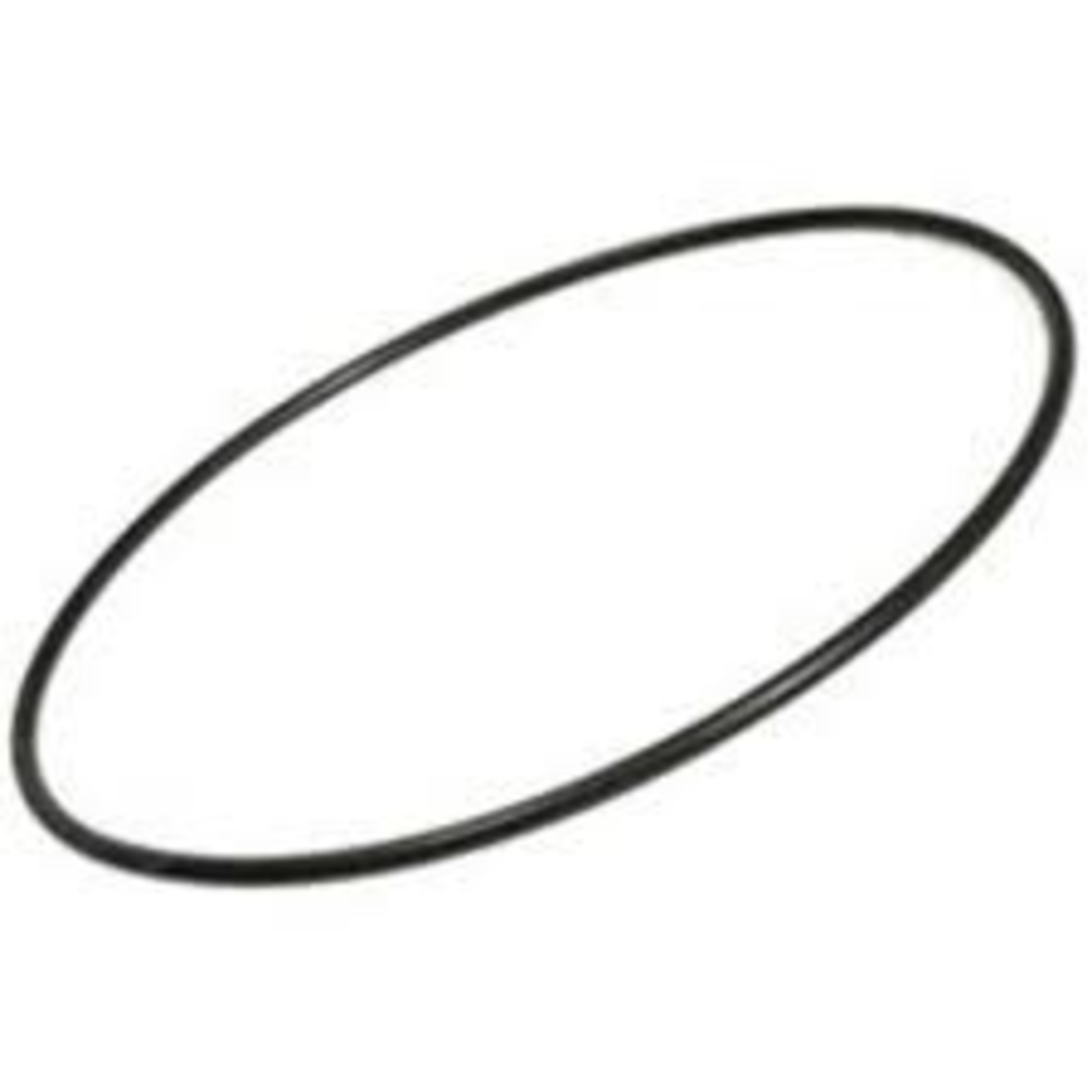Pentair PENTAIR MAXIGLASS/DURIGLASS LID O-RING