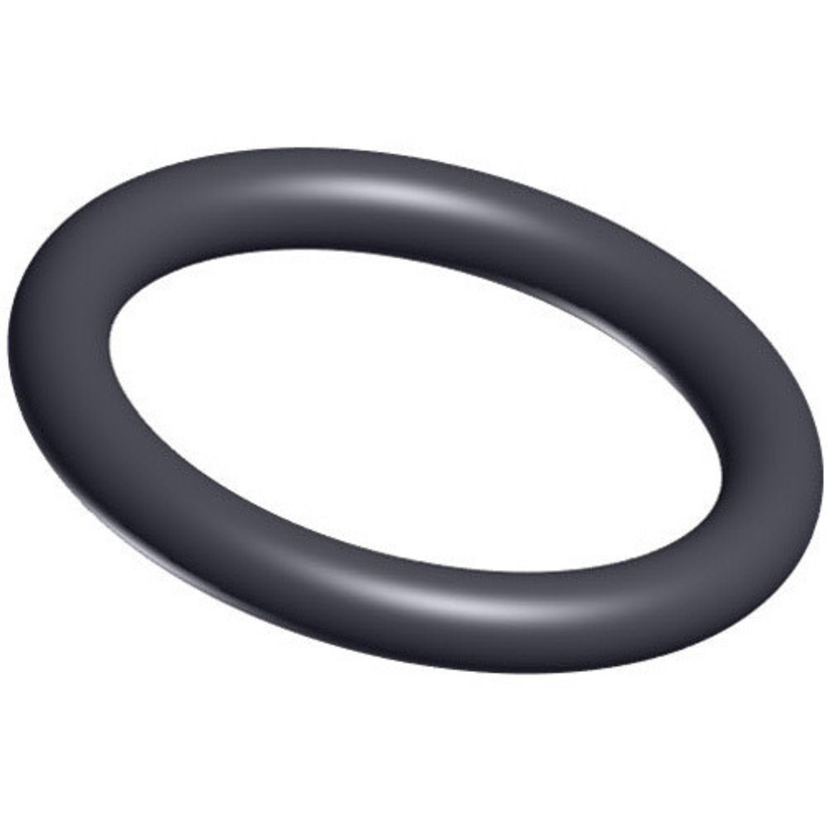 Hayward HAYWARD FILTER O-RING FOR  HANDLE