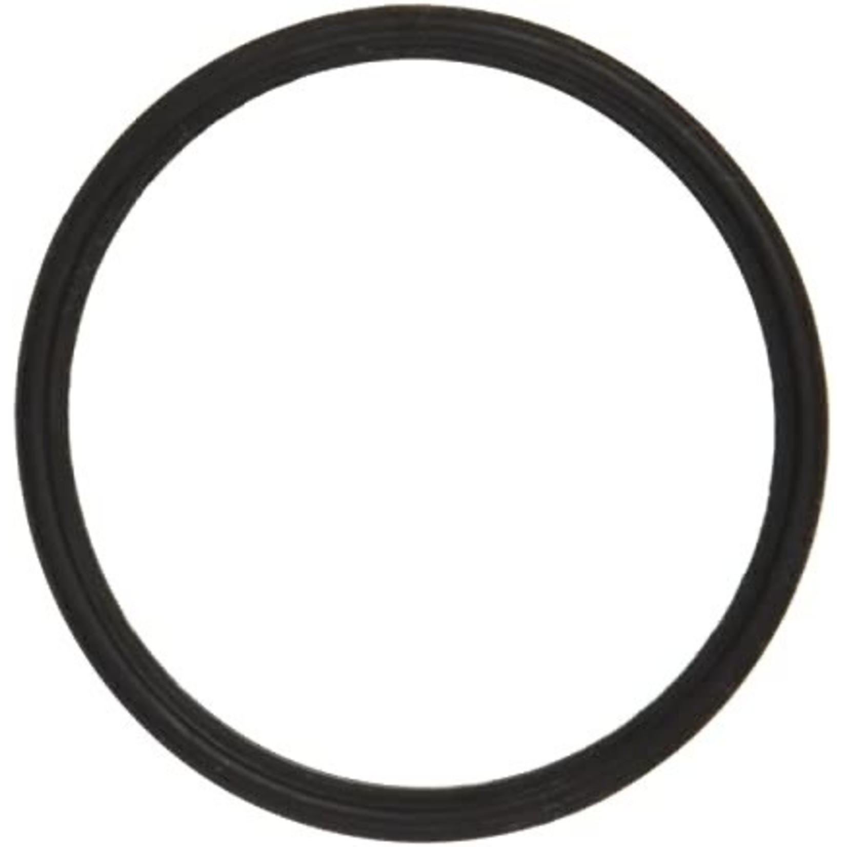 Hayward HAYWARD DIFFUSER GASKET