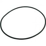 Hayward HAYWARD FILTER HEAD O-RING