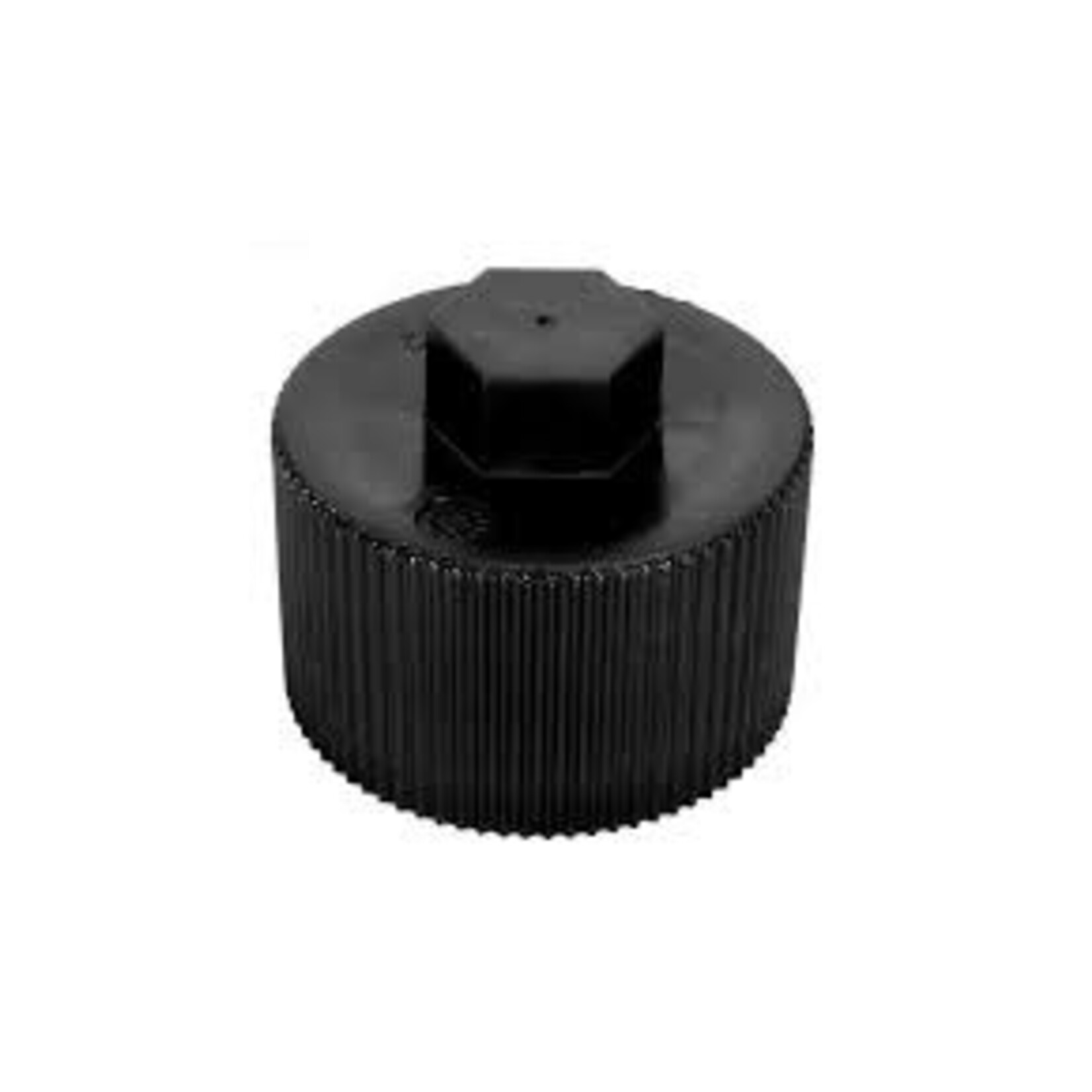 Pentair PENTAIR FILTER DRAIN CAP CARTR