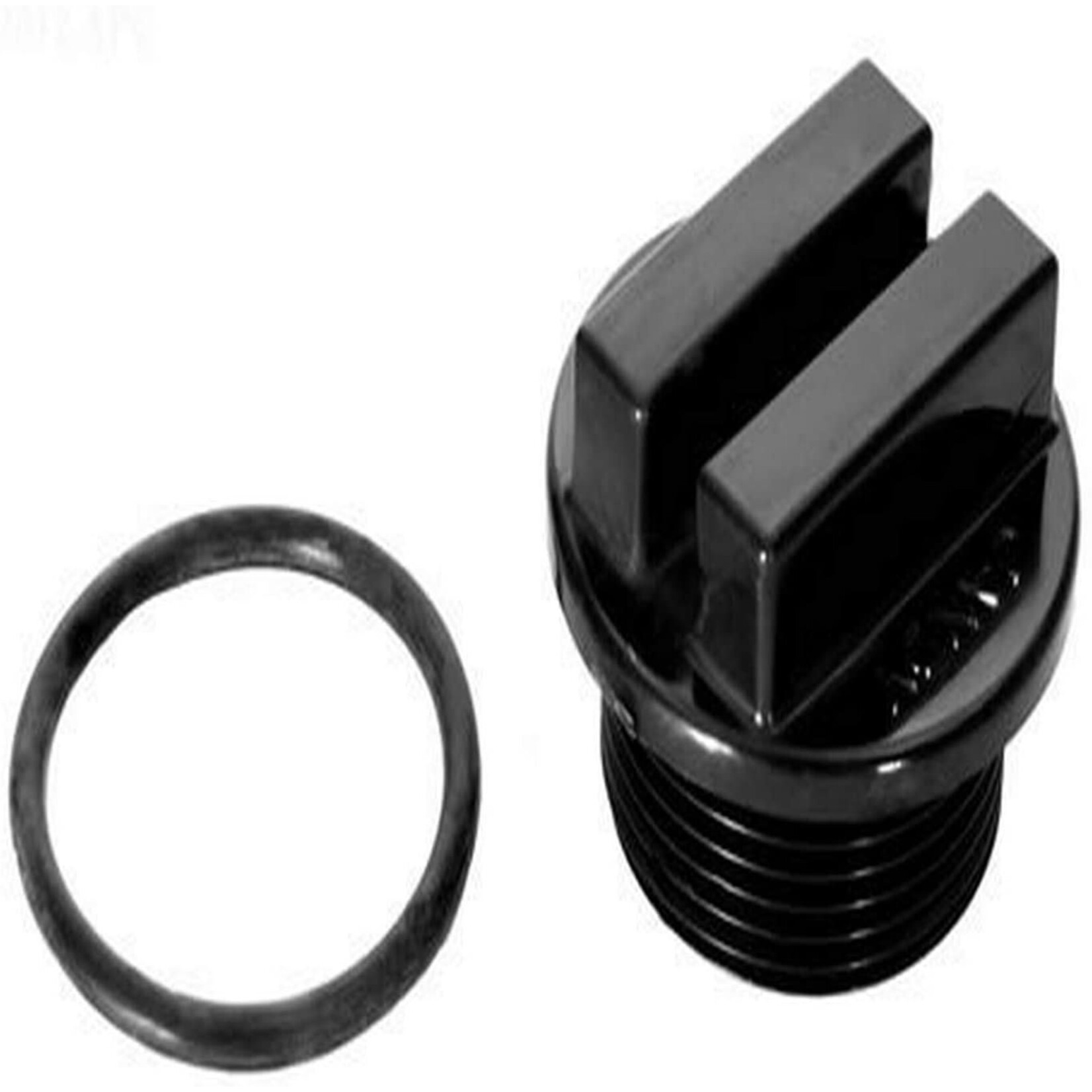 Jandy JANDY DRAIN PLUG W/ORING
