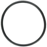 Zodiac DUO CLEAR ELECTRODE O-RING