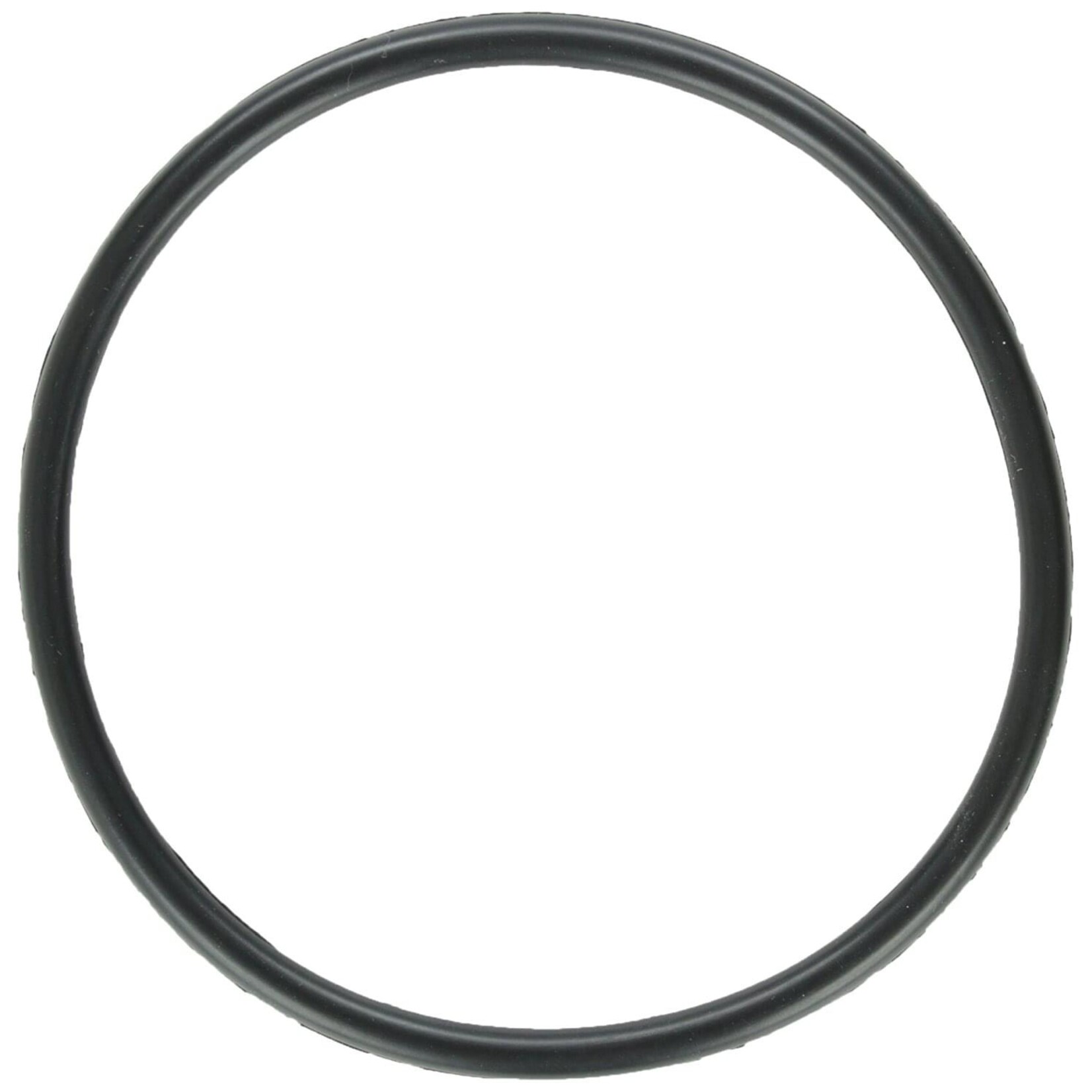 Zodiac DUO CLEAR ELECTRODE O-RING