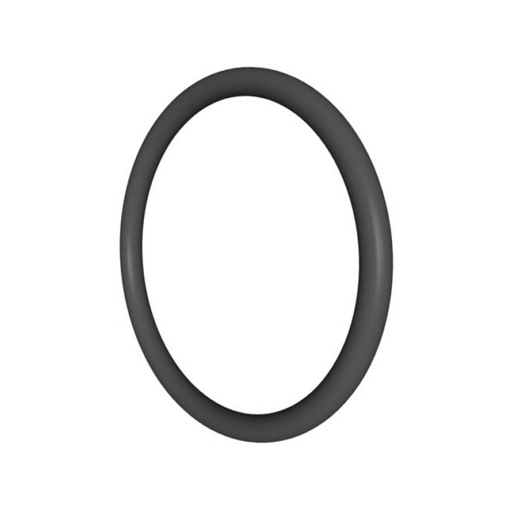 Hayward HAYWARD SWIMCLEAR FILTER PLUMBING O-RING