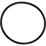 Pentair PENTAIR WHISPERFLO LID ORING