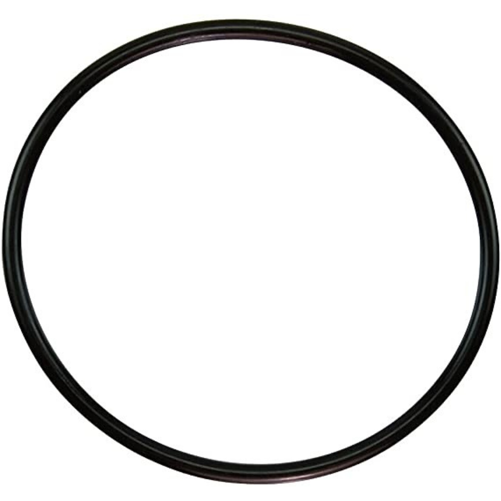Pentair PENTAIR WHISPERFLO LID ORING