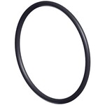 Hayward HAYWARD ULTRA PRO STAINER  ORING