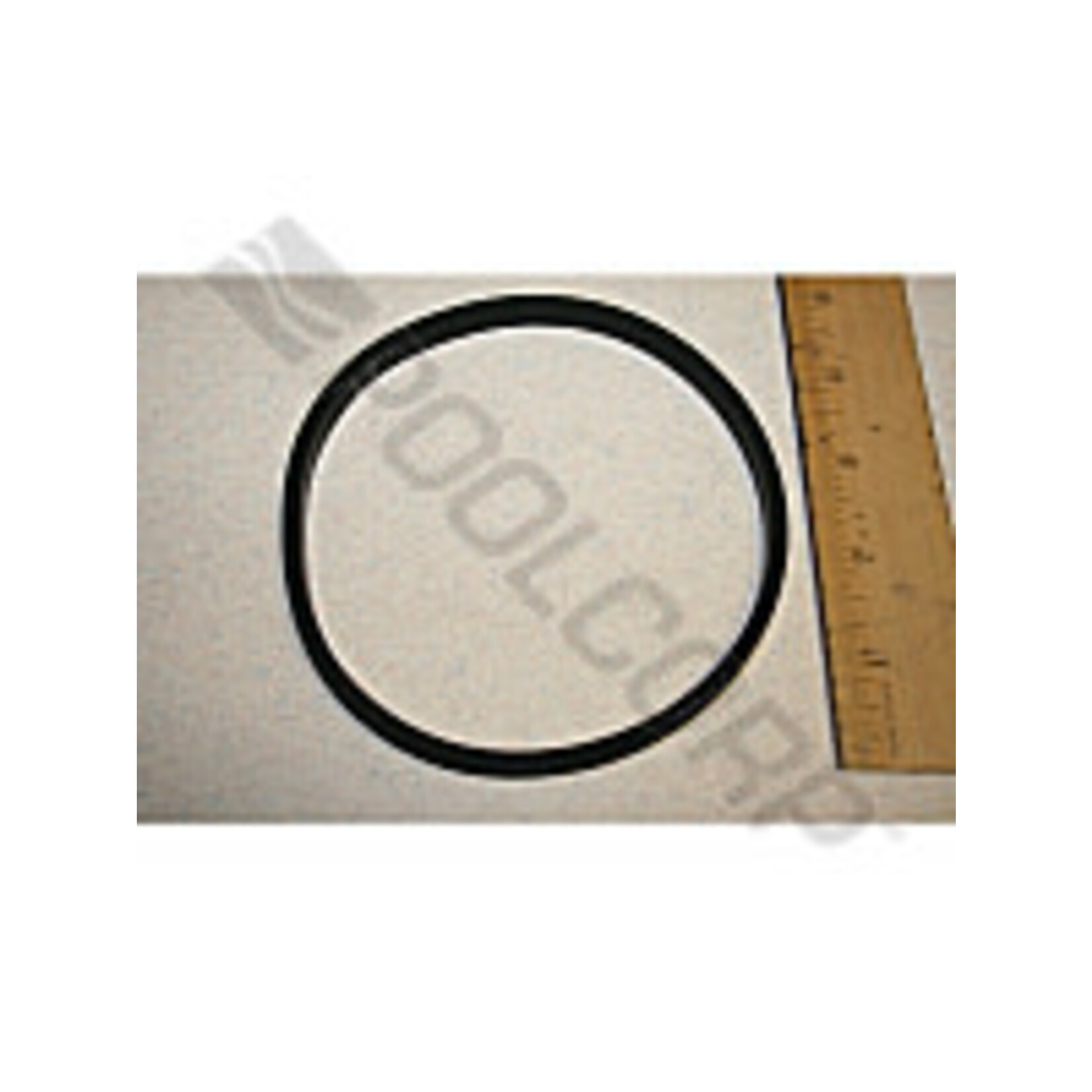 HAYWARD STRAINER COVER GASKET