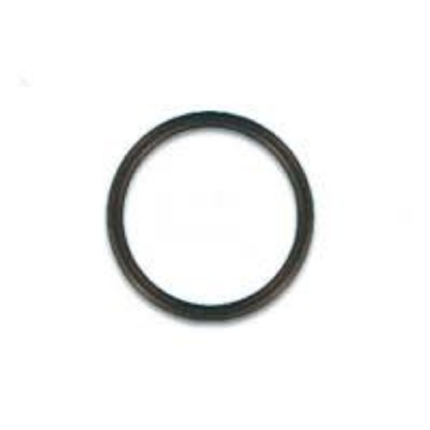 HAYWARD PROSERIES LIGHT ORING