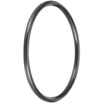 Hayward HAYWARD O-RING QUICK DISCONNECT #129