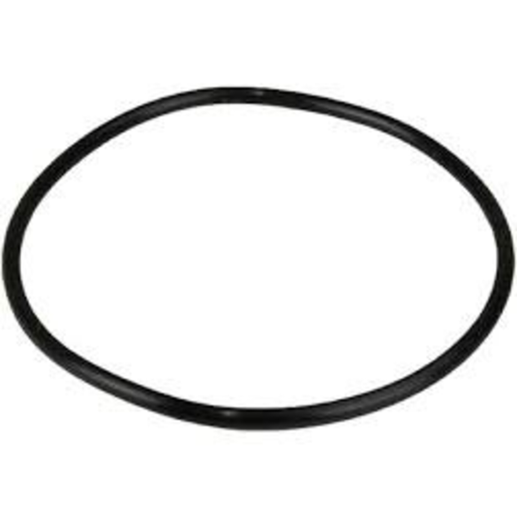 Hayward HAYWARD ULTRA PRO PUMP ORING