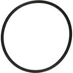 Hayward HAYWARD SUPER PUMP II ORING