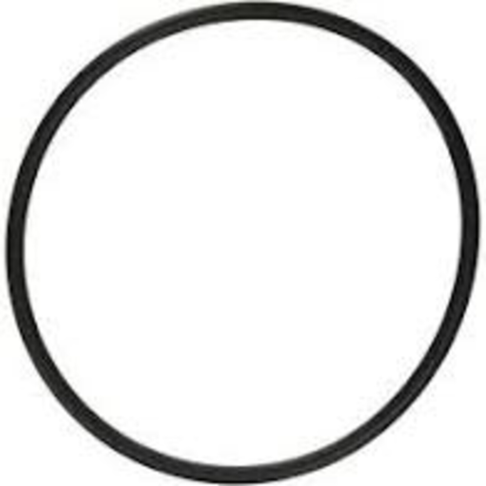 Hayward HAYWARD SUPER PUMP II ORING