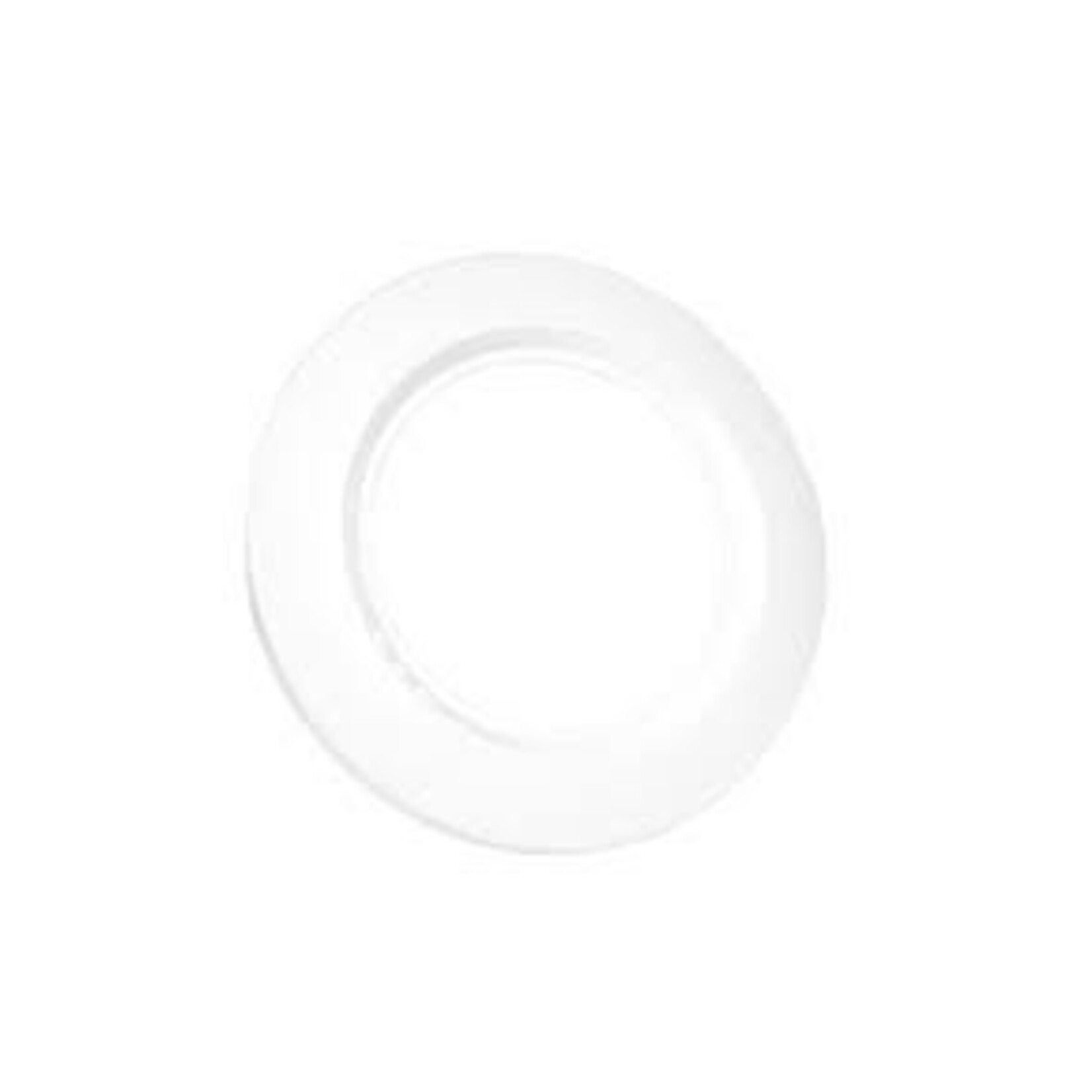 Hayward HAYWARD PROSERIES LIGHT FACE PLATE