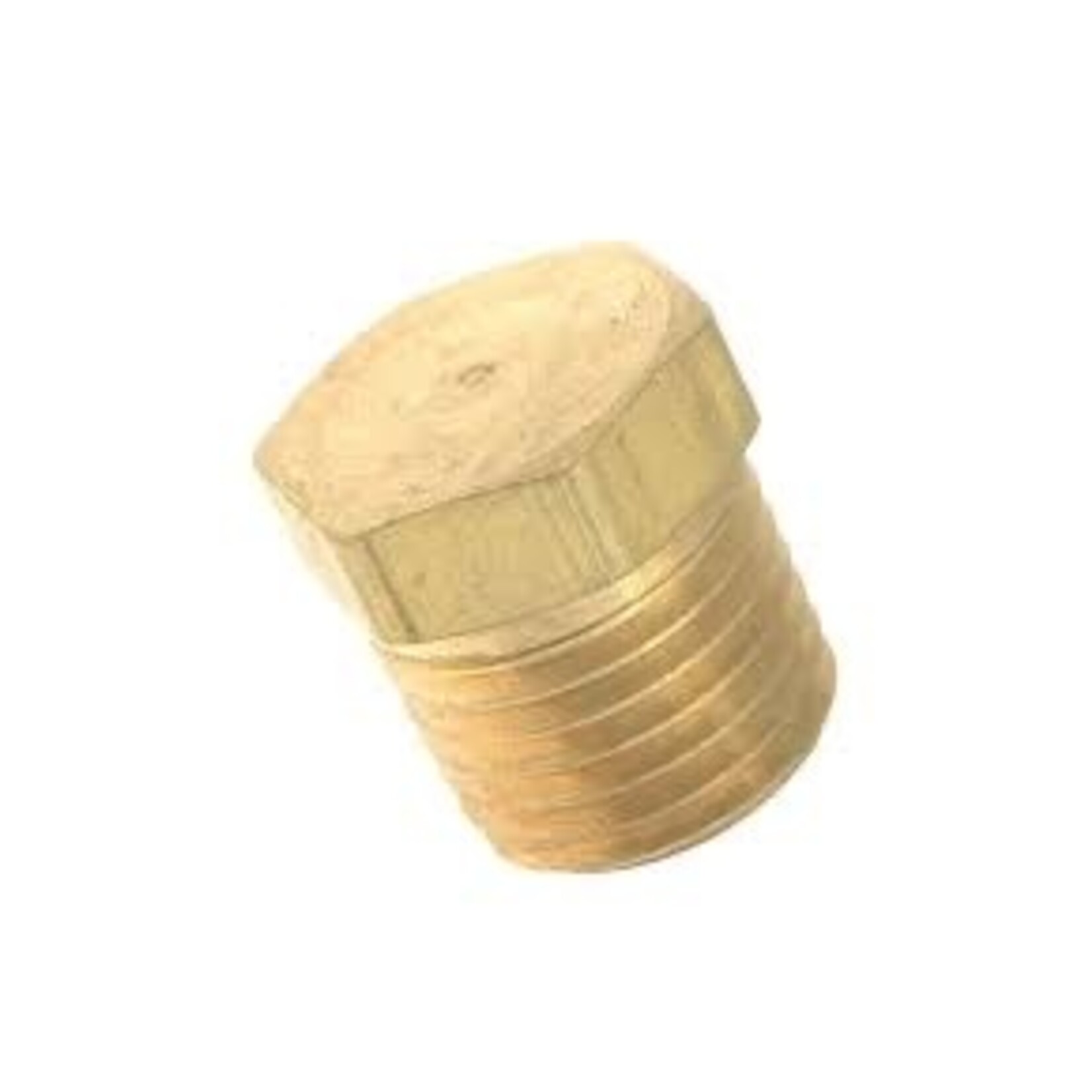 BRASS PLUG 1/4 INCH
