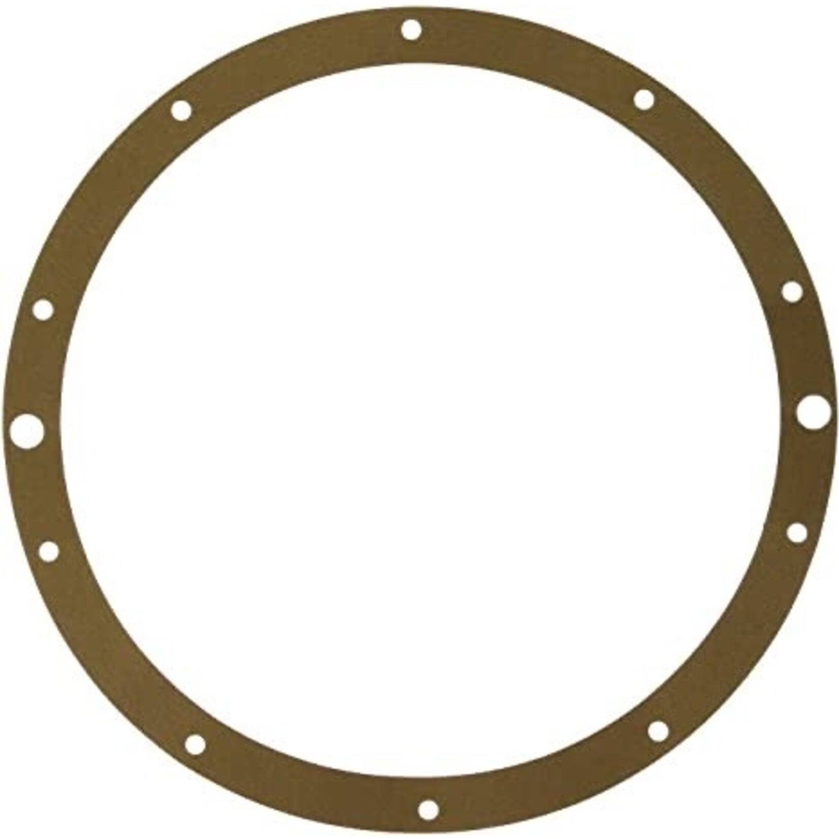 Hayward HAYWARD GASKET POOL LIGHT
