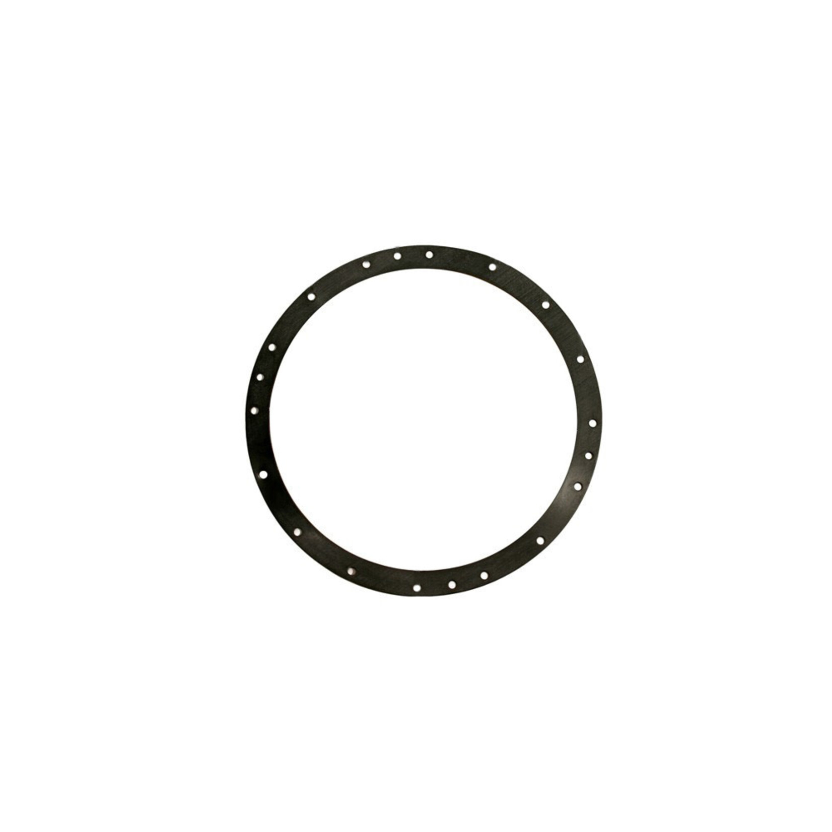 Hayward HAYWARD PROSERIES LIGHT GASKET