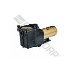 Hayward HAYWARD SUPER PUMP 1HP 2SP