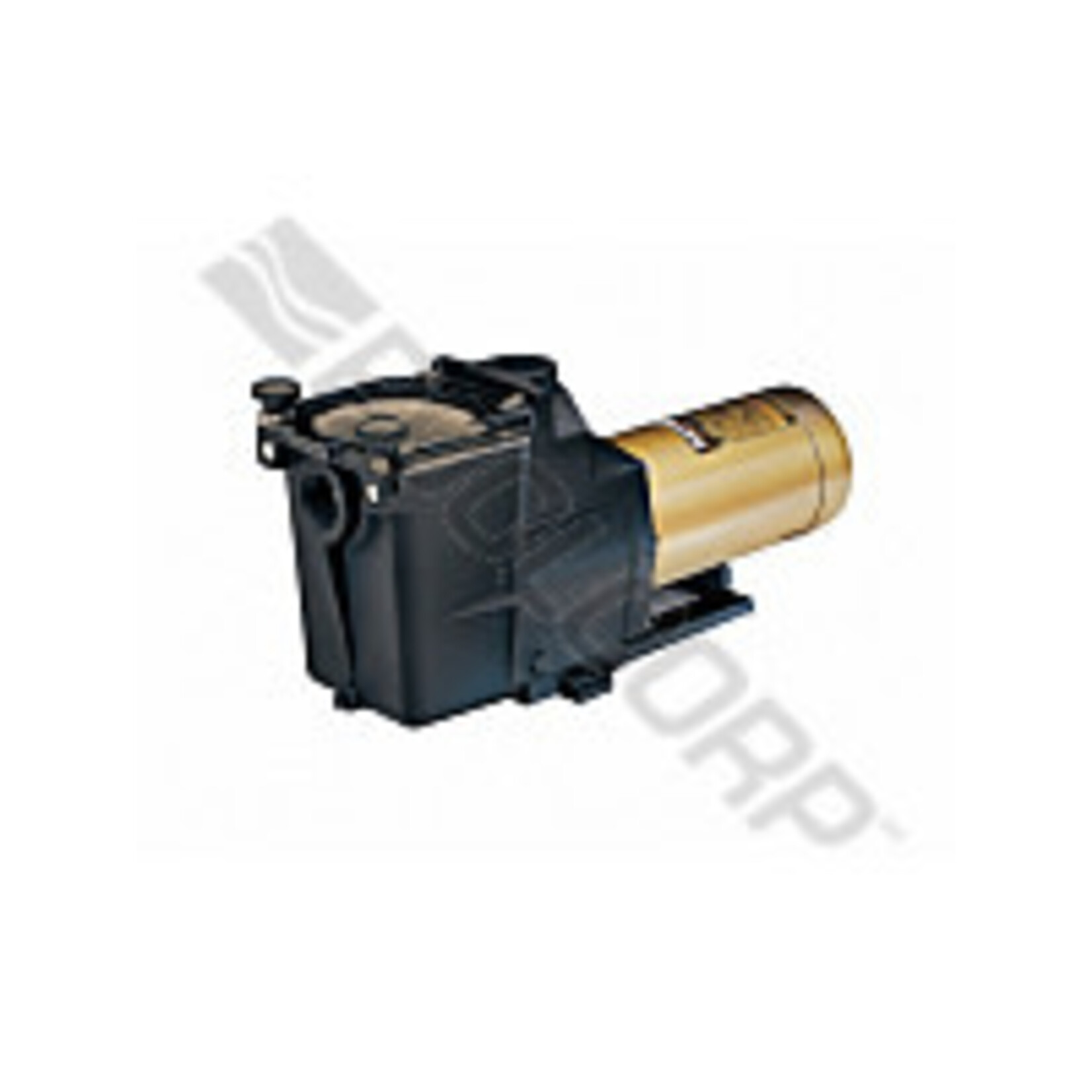 Hayward HAYWARD SUPER PUMP 1HP 2SP