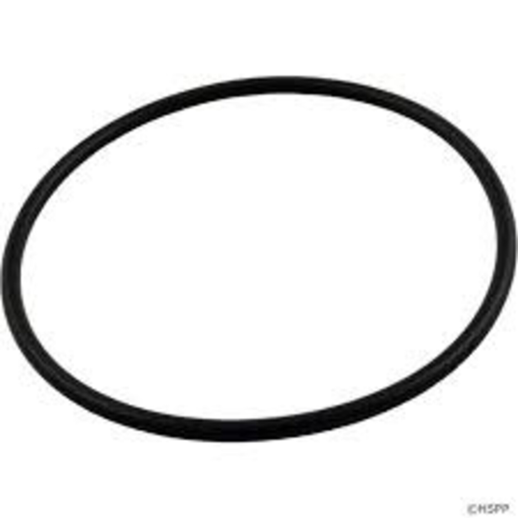 Jacuzzi JACUZZI DOMINATOR LID O-RING