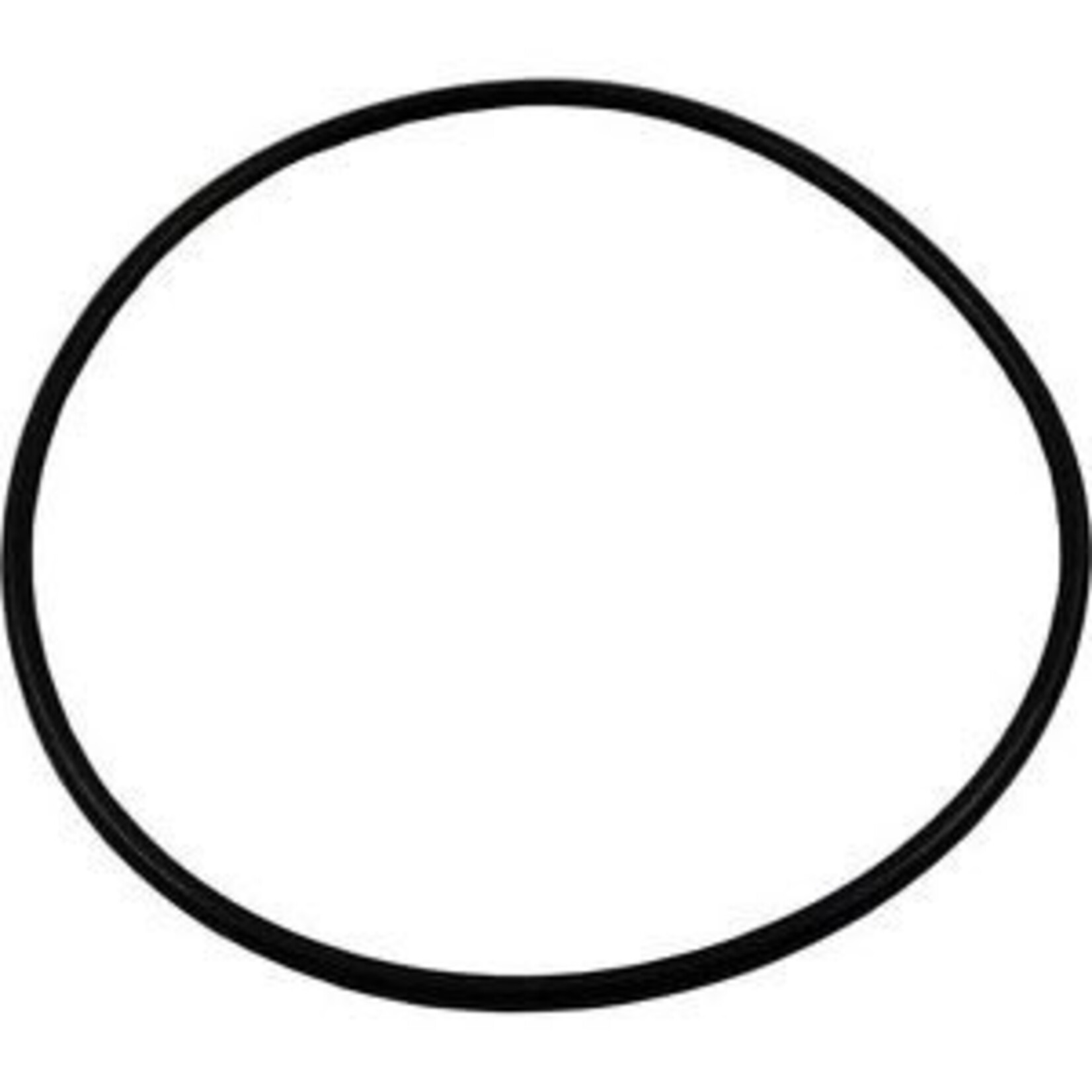 Jacuzzi JACUZZI MAGNUM PUMP BODY O-RING
