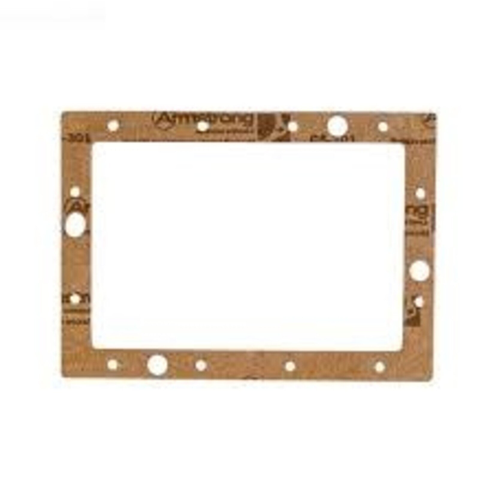 JACUZZI SKIMMER PMT GASKET
