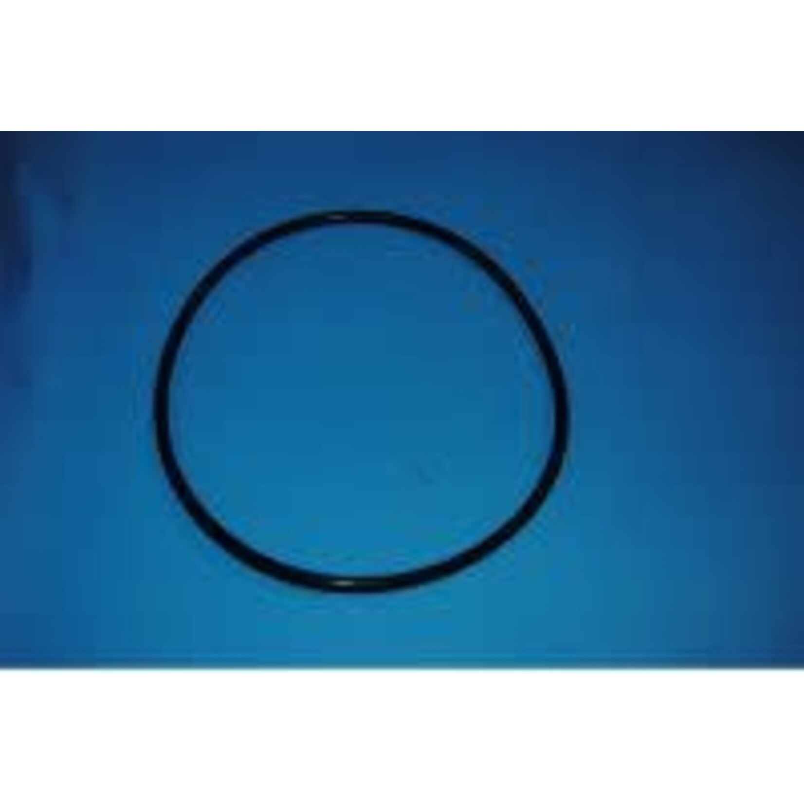 Hayward HAYWARD FILTER VALVE O'RING