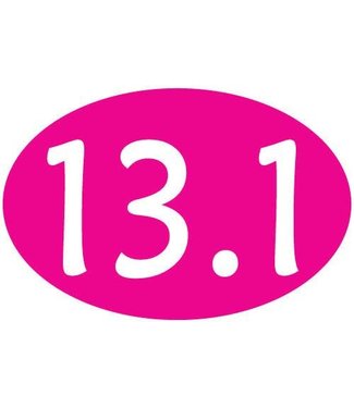 Baysix 13.1 Oval Magnet (Pink)