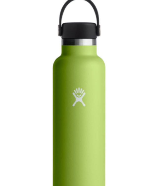 Hydroflask 24 oz  Hydro Flask Standard Mouth