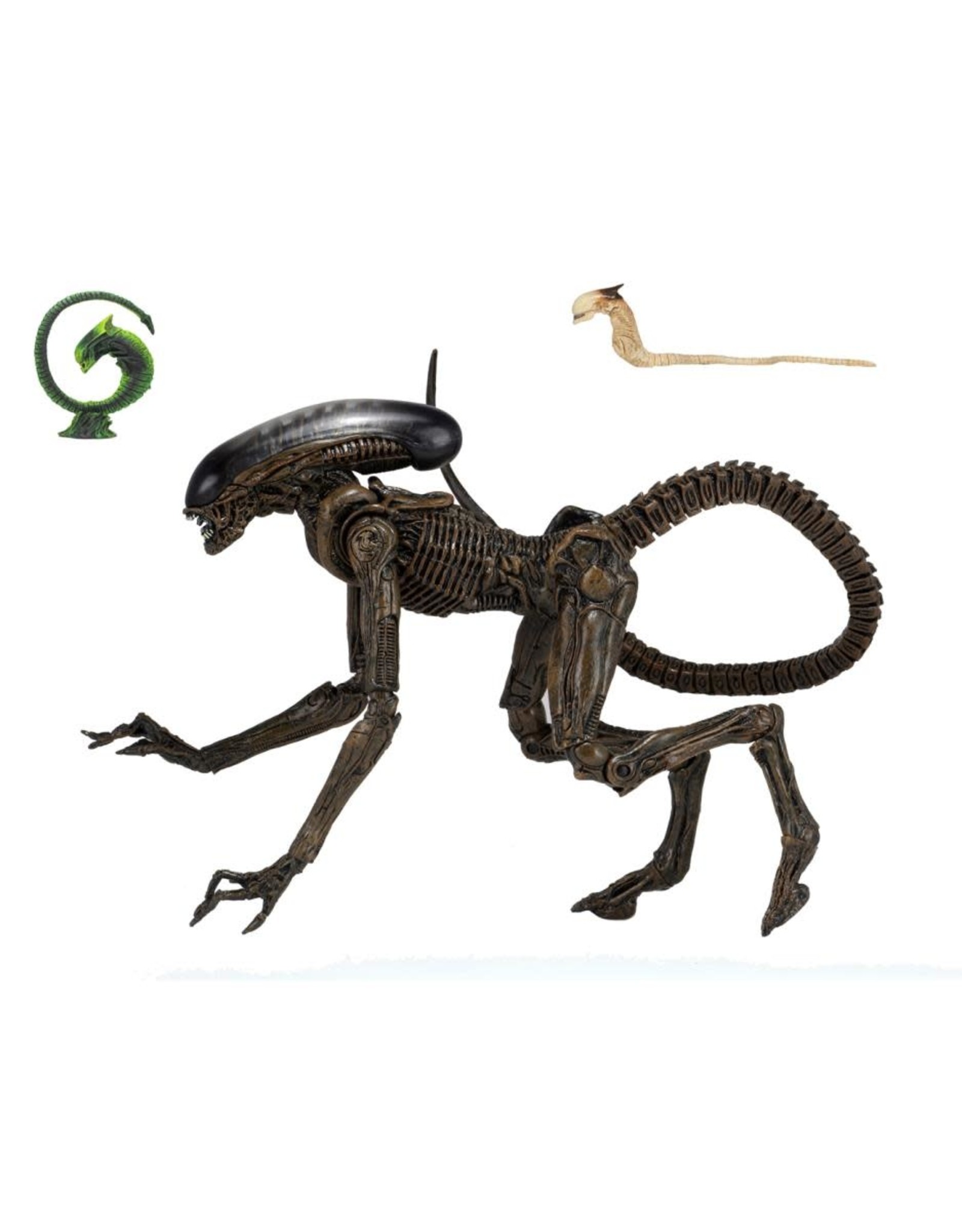 neca alien 3 ultimate dog alien