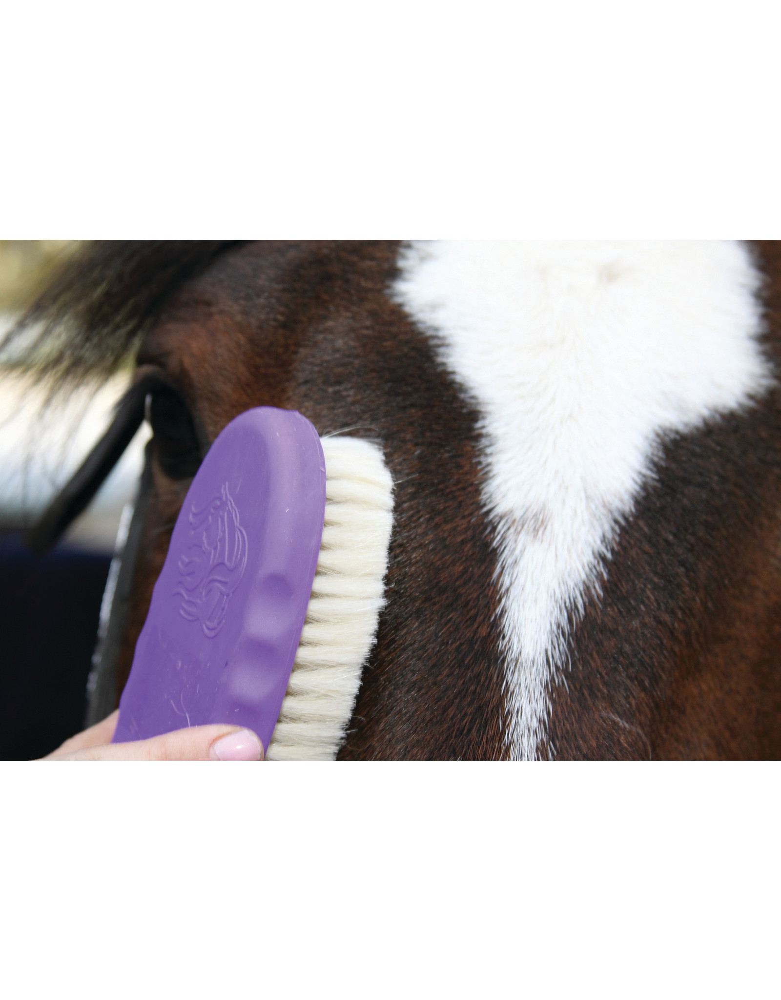 Tail Tamers Tail Tamers Goat Hair ST400 Grooming Brush