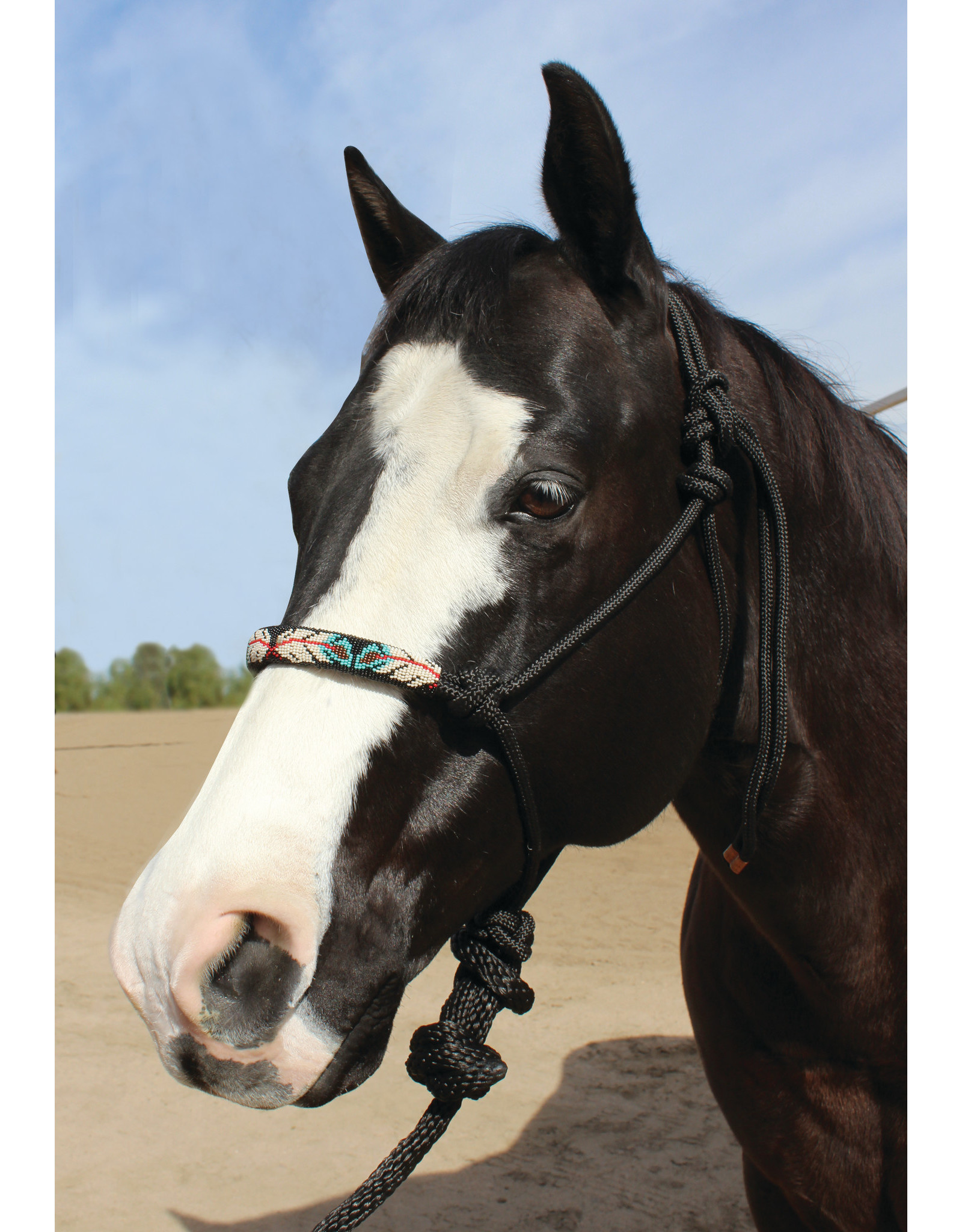 Professional's Choice Professional's Choice Beaded Rope Halter