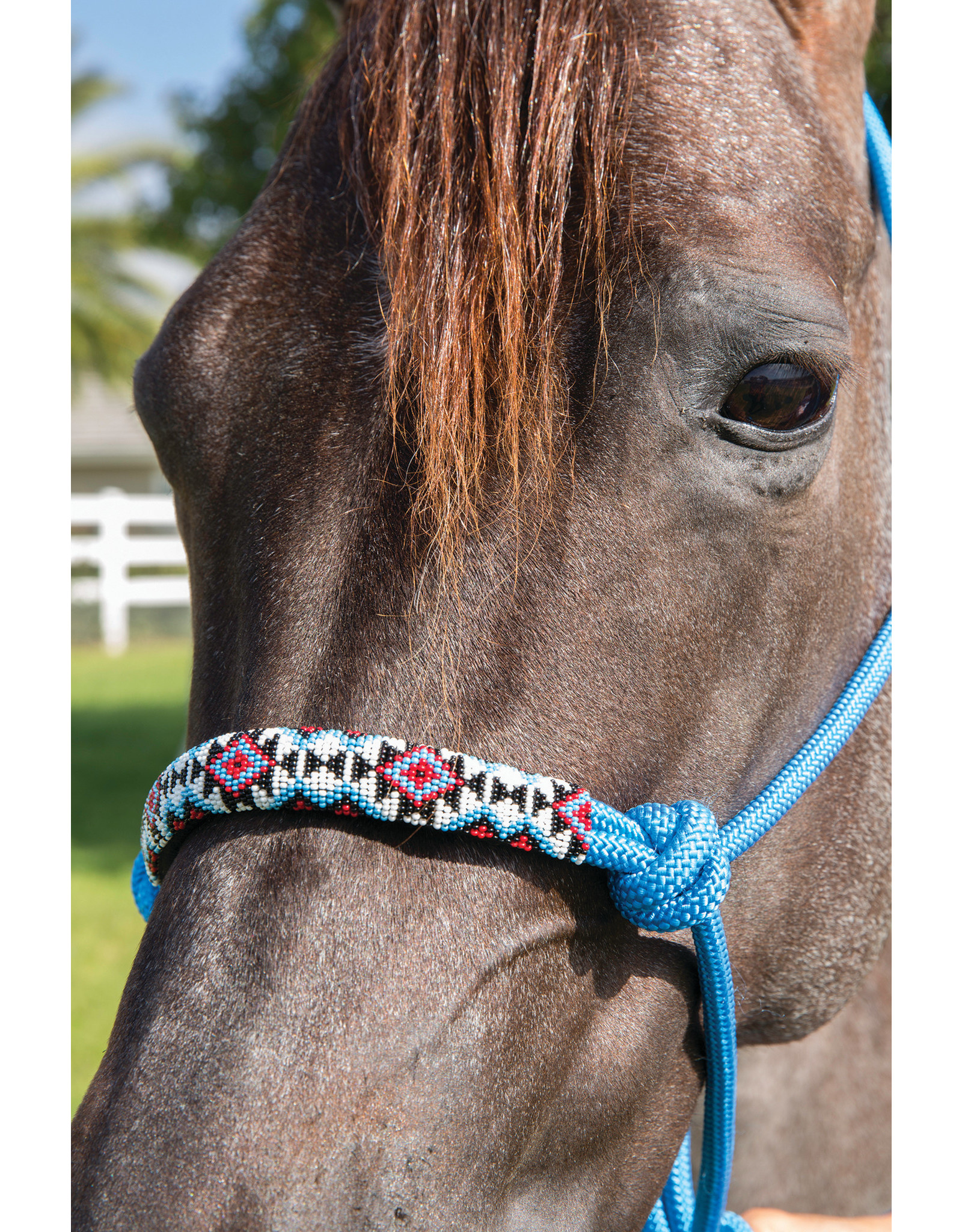 Professional's Choice Professional's Choice Beaded Rope Halter