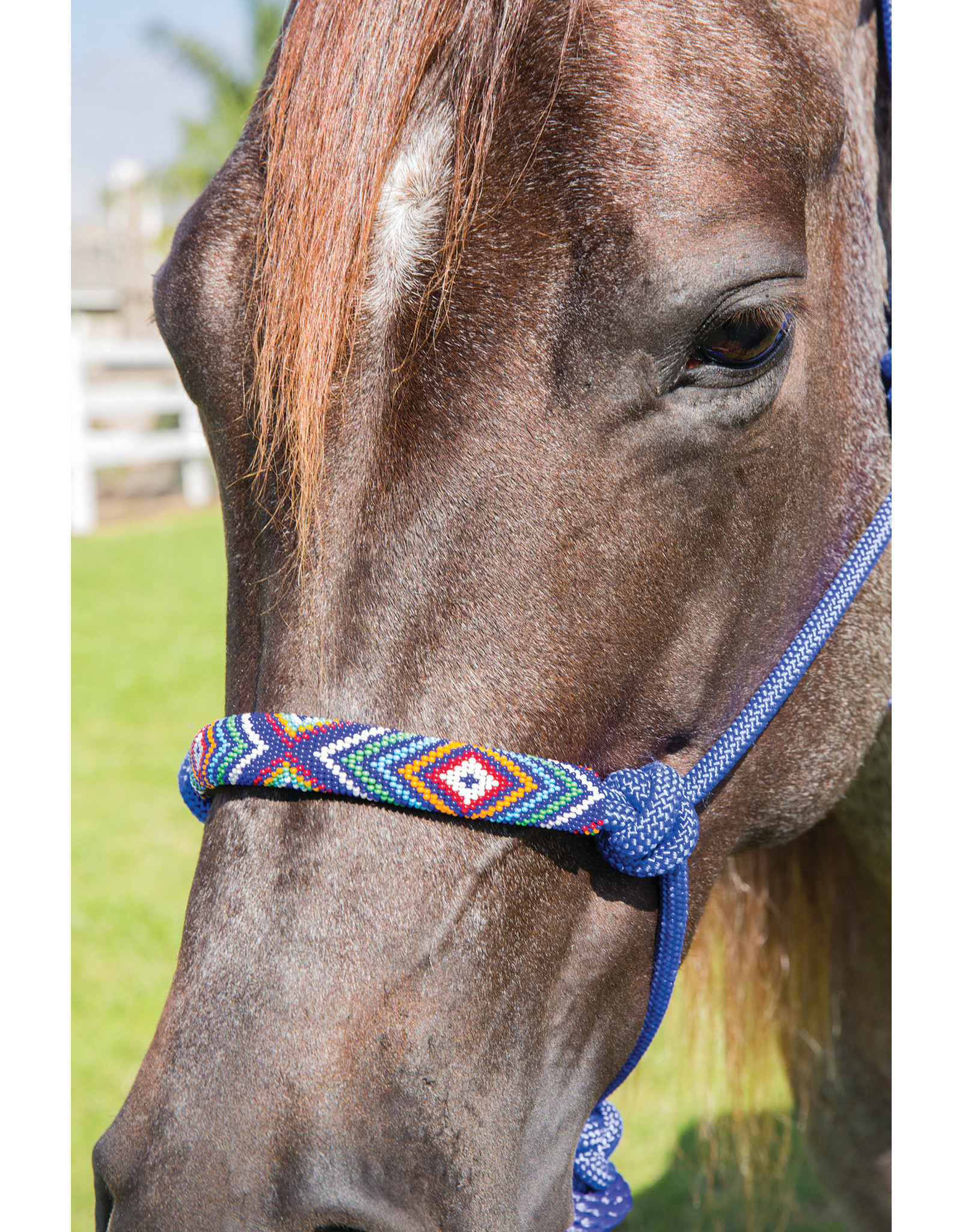 Professional's Choice Professional's Choice Beaded Rope Halter