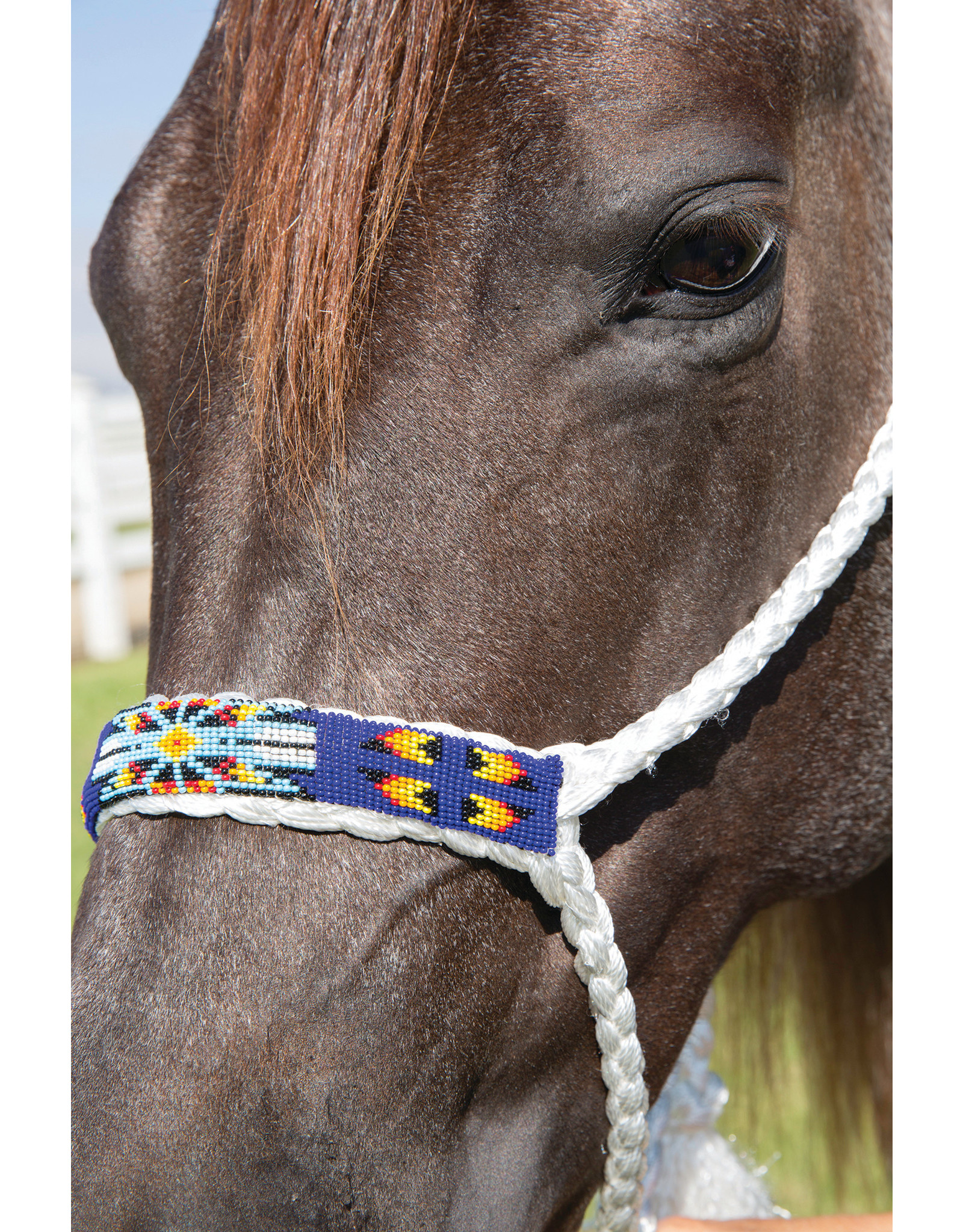 Professional's Choice Professional's Choice Cowboy Mule Tape HRCB-Whi/Roy Beaded Halter