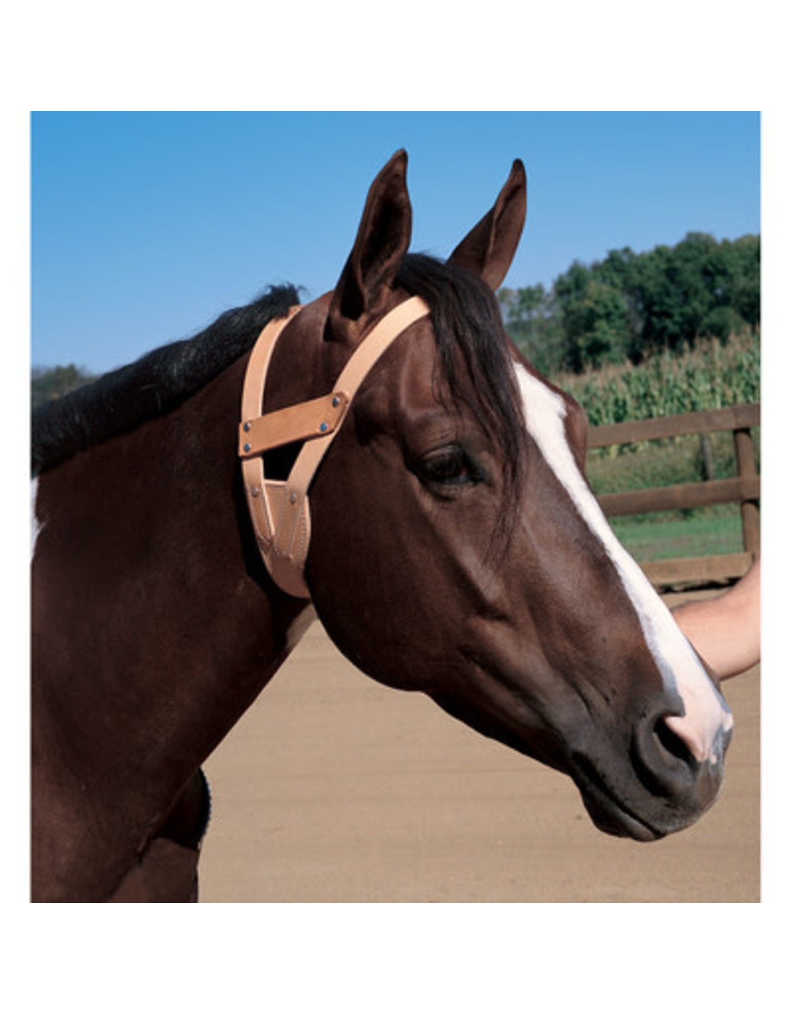 Weaver Weaver Miracle Cribbing Collar 30-1260–HV Sz. Med.