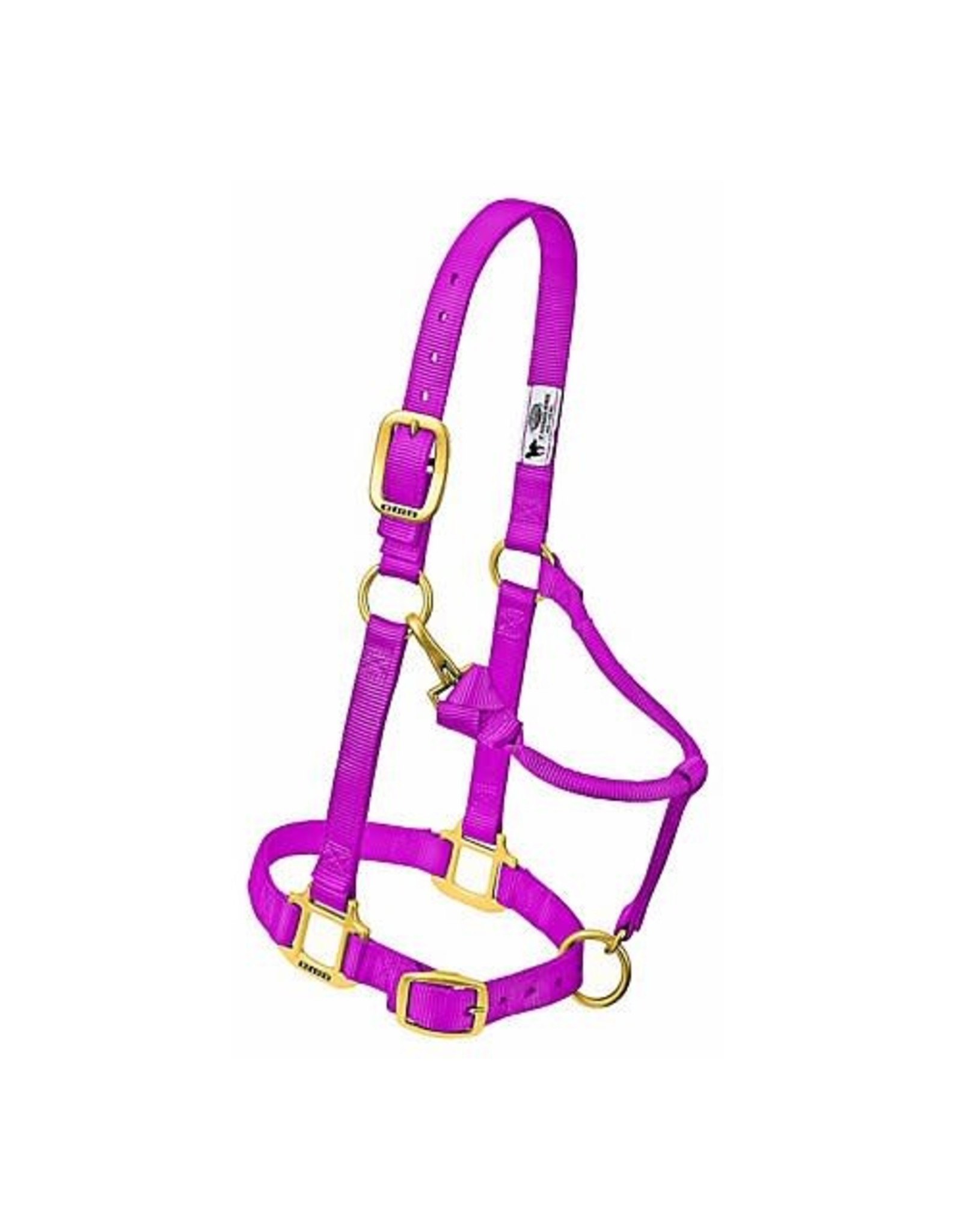 Weaver Adjustable Raspberry Halter Sz. Small Horse 35-7034-RA