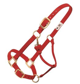 Weaver Weaver Adjustable Sz. Average 35-7035-RD Red Halter