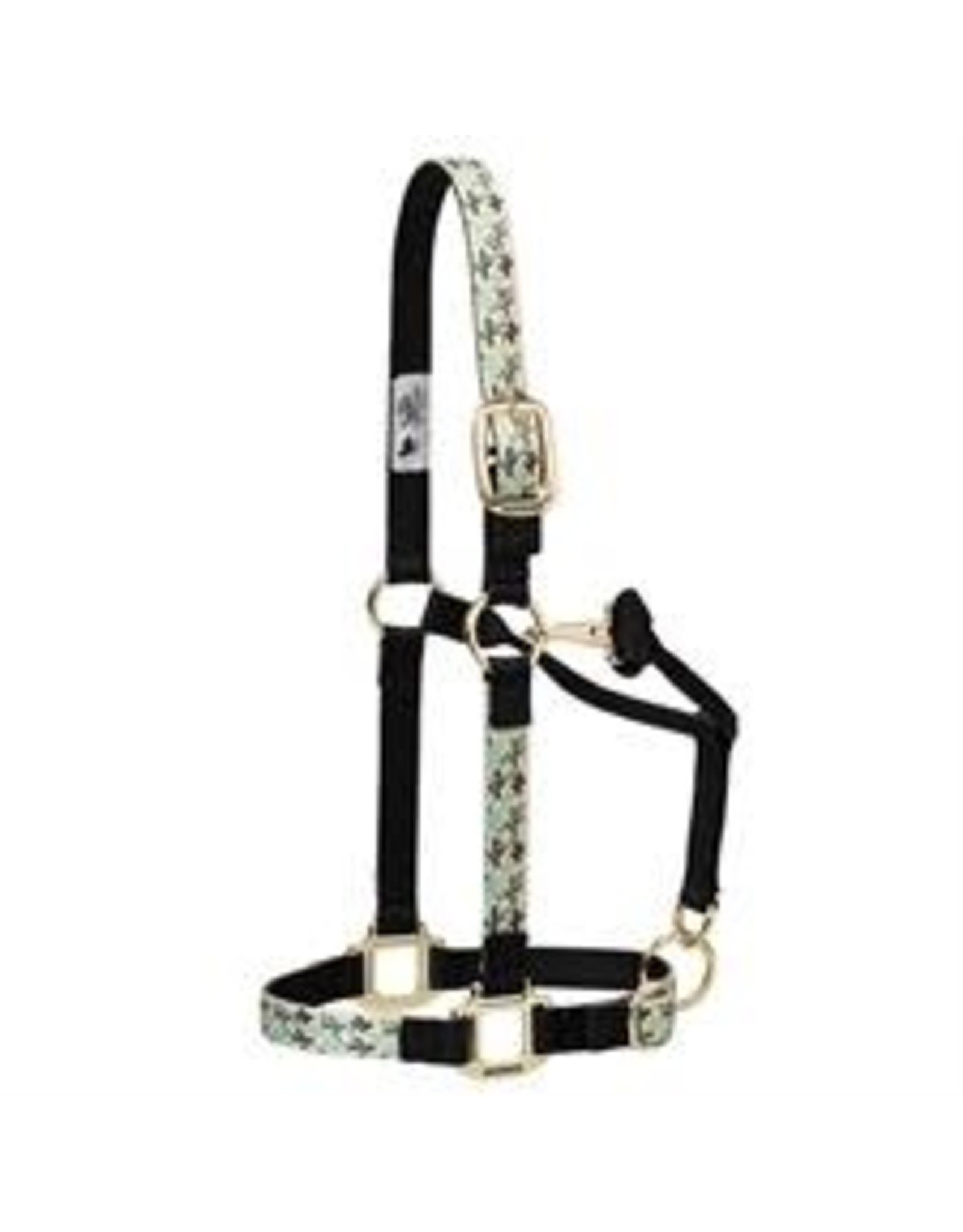 Weaver Weaver Adjustable 35-6785-98 Cactus Sz. Average Halter