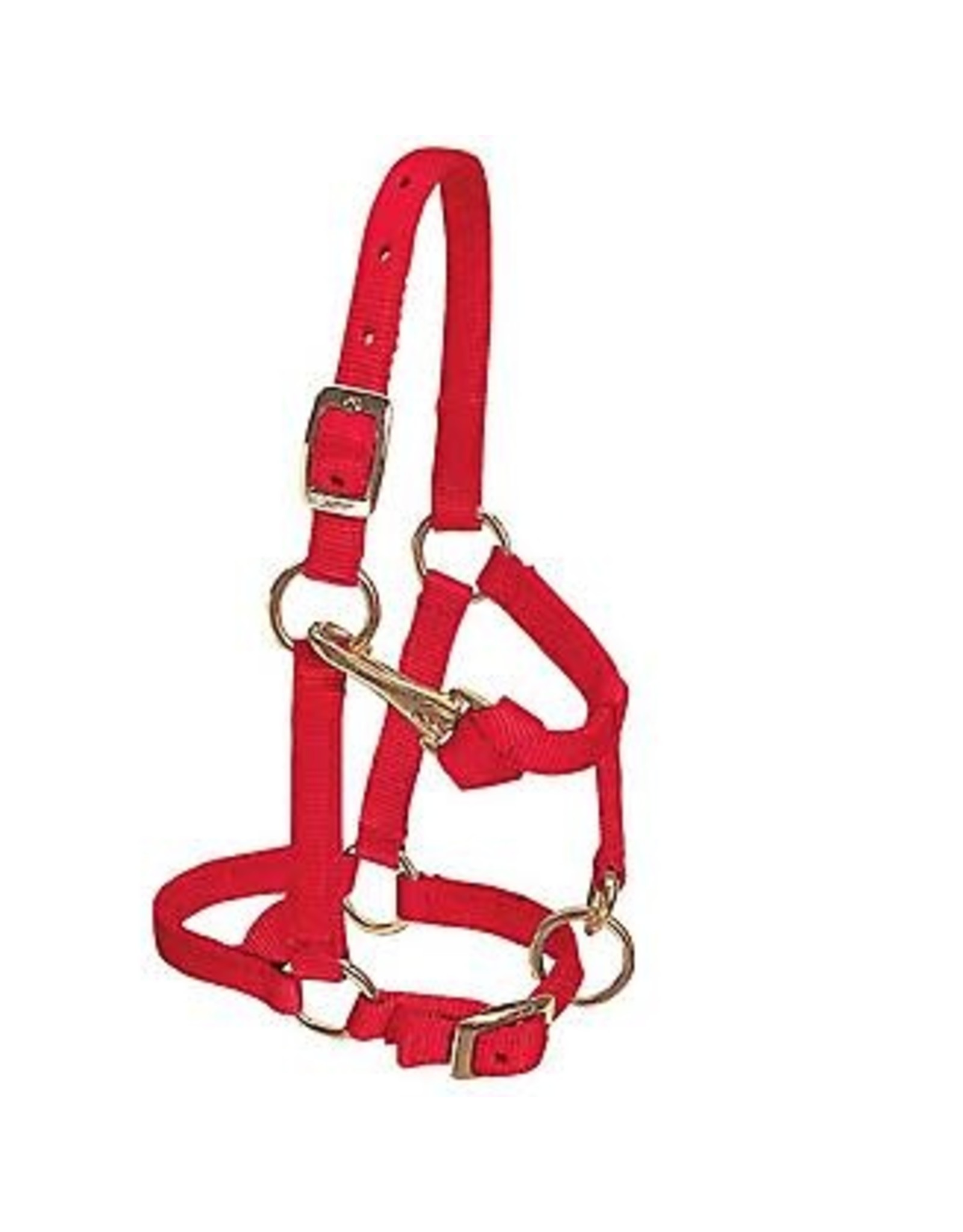 Weaver Weaver Adjustable  Sz. Mini 35-4800-RD Red Halter