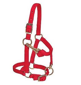 Weaver Weaver Adjustable  Sz. Mini 35-4800-RD Red Halter