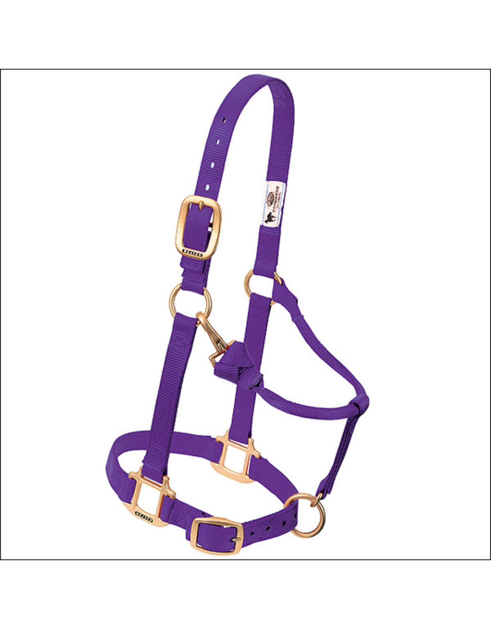 Weaver Weaver Adjustable Sz. Arabian/Cob 35-5035-PU (Purple) Halter